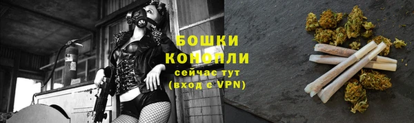 мдпв Магас