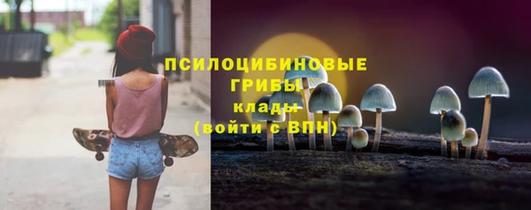мдпв Магас