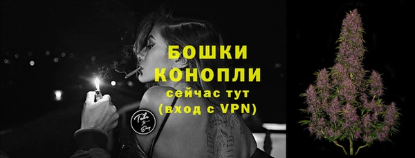 мдпв Магас