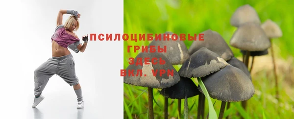 амф Апатиты