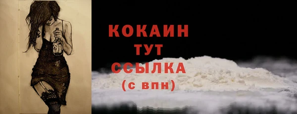 мдпв Магас