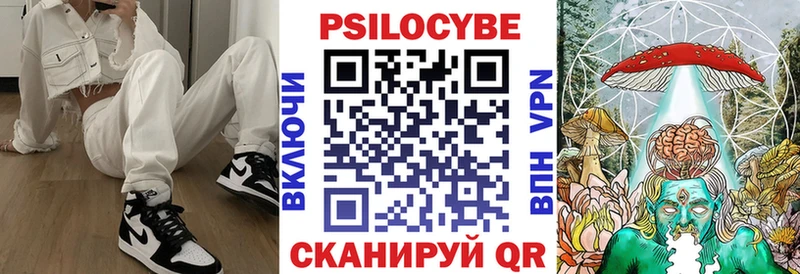 купить закладку кракен рабочий сайт Галлюциногенные грибы Psilocybe Феодосия